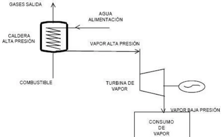 Figura 3: Esquema de una planta de cogeneración con turbina de vapor 