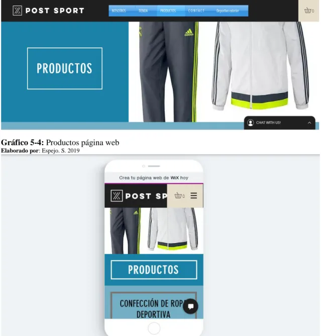 Gráfico 5-4: Productos página web 