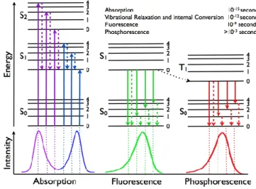 Figura 1. Diagrama de Jablonski. 