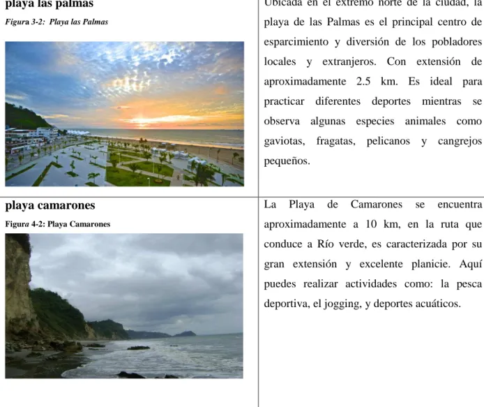 Figura 3-2:  Playa las Palmas 