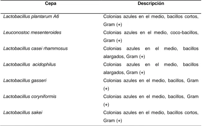 Tabla 5. Características morfológicas de las cepas estudiadas. 