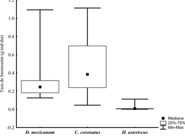 Figura 3 Tasa de bioerosión para tres especies de erizos en Los Negritos, Bahía Málaga