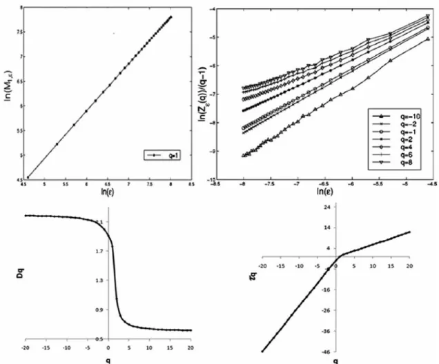 Figure 4.  MFA by method of moments, with multifractal measurements calculated by the box-counting algorithm on  the CGR for a DNA sequence