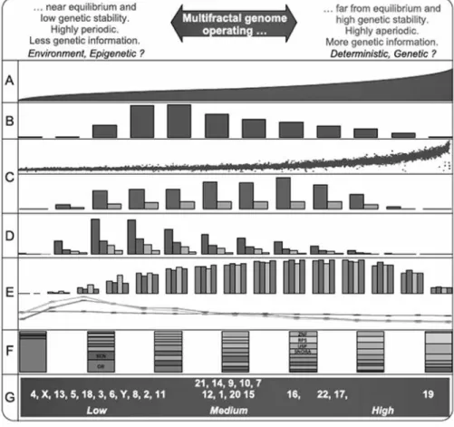 Figure 6. MFA summary diagram of the HG. From left to right the multifractality increases