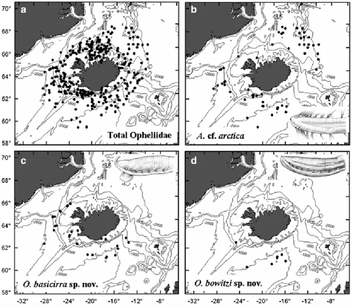 Fig. 1 Maps of the study area and collecting sites of samples including specimens of Opheliidae