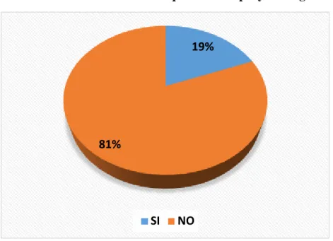 Gráfico 15: Conocimiento de lo que trata un proyecto logístico