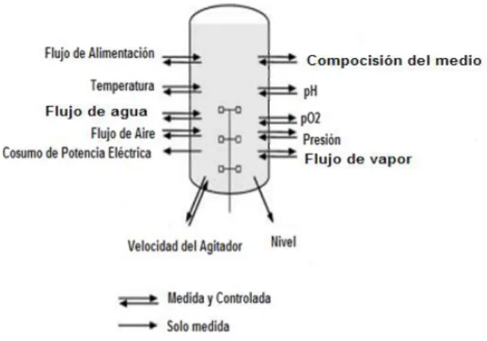 Figura 1.2: Variables de un fermentador. 