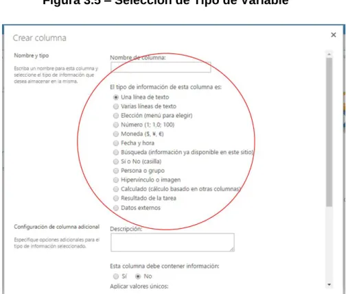 Figura 3.5 – Selección de Tipo de Variable 