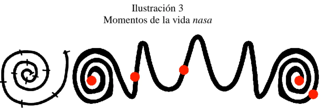 Ilustración 3  Momentos de la vida nasa 