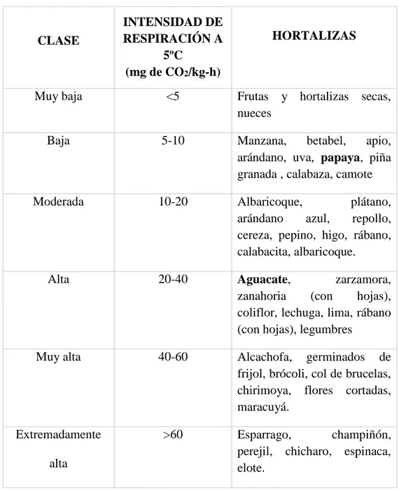 Cuadro 03: Clasificación de las hortalizas de acuerdo con la  respiración. 