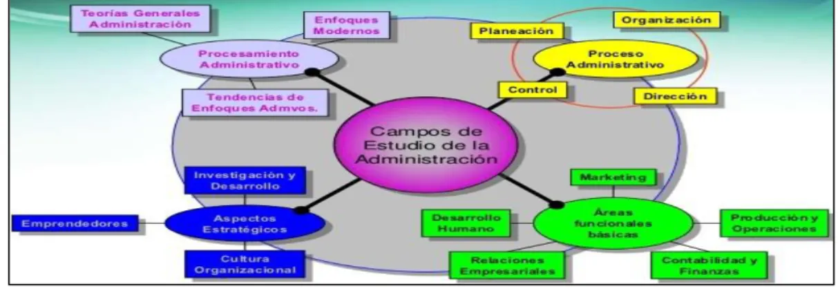 Gráfico 3: Campos De Estudio De La Administración 