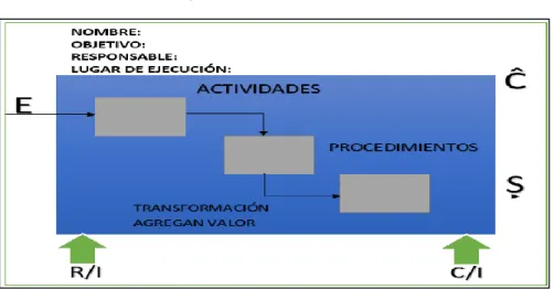 Gráfico 5: Proceso 