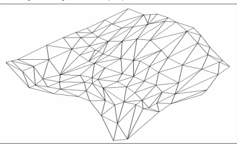 Figura 2.20 Segmento de un mapa representado con una estructura TIN 