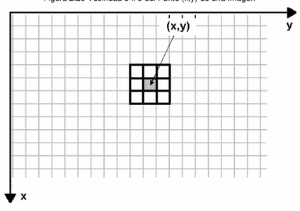 Figura 2.29 Vecindad 3 x 3 del Punto (x,y) de una Imagen 