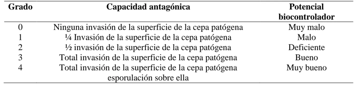 Tabla  6.  Escala  utilizada  para  la  evaluación  de  la  capacidad  antagónica  de  los  biocontroladores