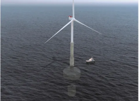 Figure 3. Telewind ® platform. Source: Figure courtesy of Esteyco [15].