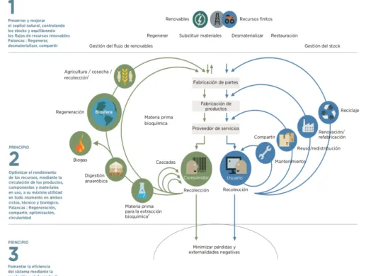Ilustración 10. Principios de actuación de la economía circular y su relación con los  ciclos técnico y biológico 