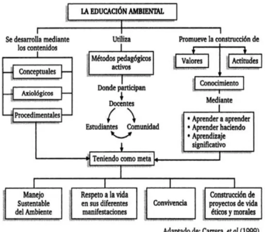 Ilustración 1. Elementos que integran la Educación Ambiental 