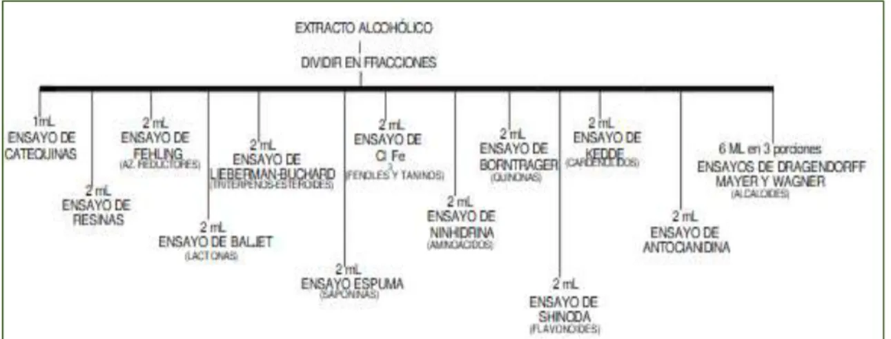 Figura 5-2: Ensayos efectuados en el extracto acuoso 