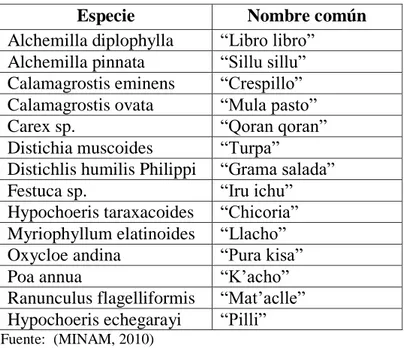 Tabla 3. Las principales especies de plantas de los bofedales