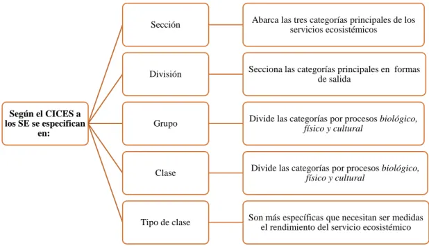Figura 1-1: Estructura jerárquica de la división de los servicios ecosistémicos