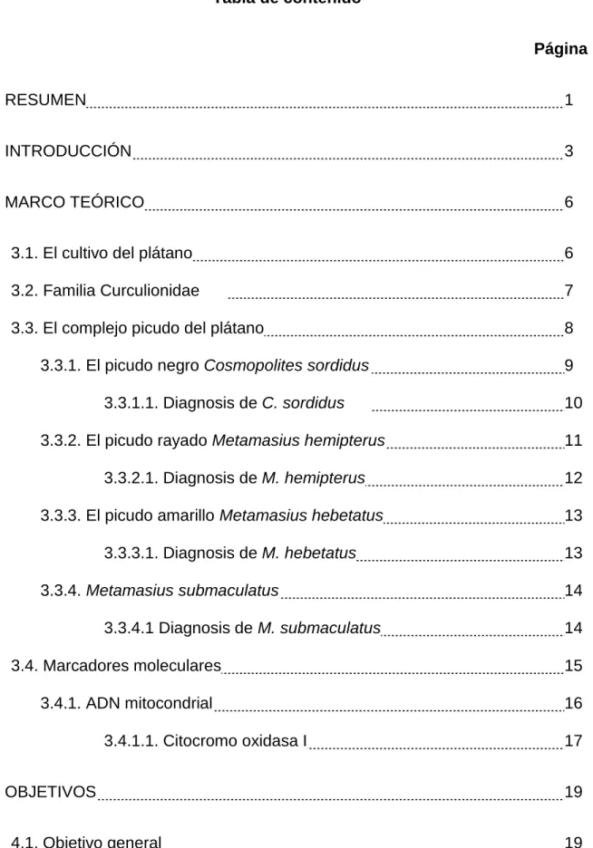 Tabla de contenido 