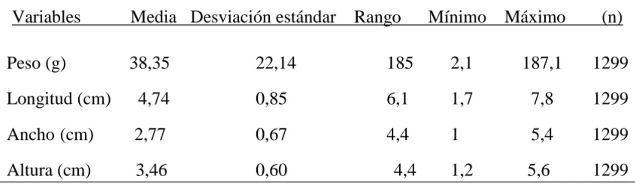 Tabla 2. Estadística descriptiva para la morfometría de A. tuberculosa, en el  departamento del Chocó 