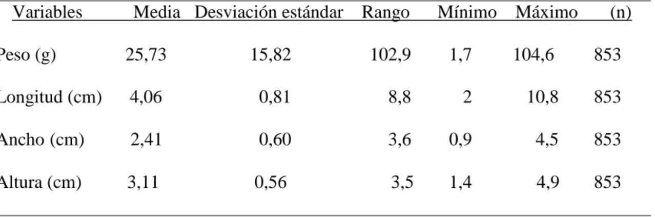Tabla 5. Estadística descriptiva para la morfometría de  A. tuberculosa, en el  departamento del Valle del Cauca 