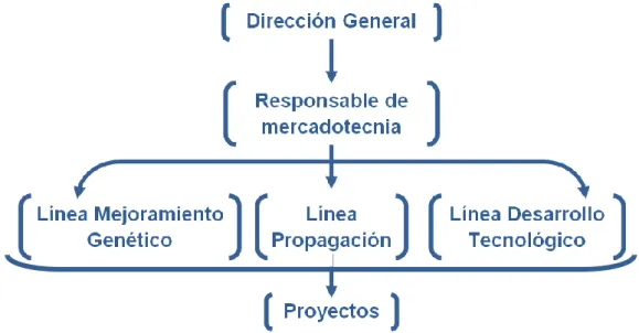 Figura 6: Ubicación en el organigrama del Responsable de Mercadotecnia en el IBP. 
