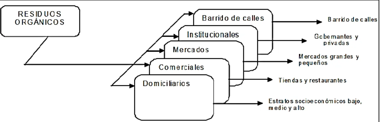 Figura 1-1: Clasificacion de residuos orgánicos municipales por su fuente 