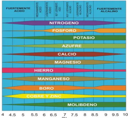 Figura 5-1: Efecto del pH del suelo en la disponibilidad de nutrientes 
