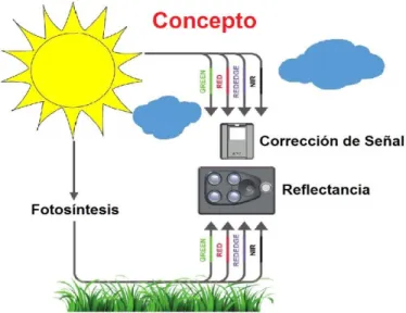 Figura 2-6 Concepto de la autocalibración del sensor. 