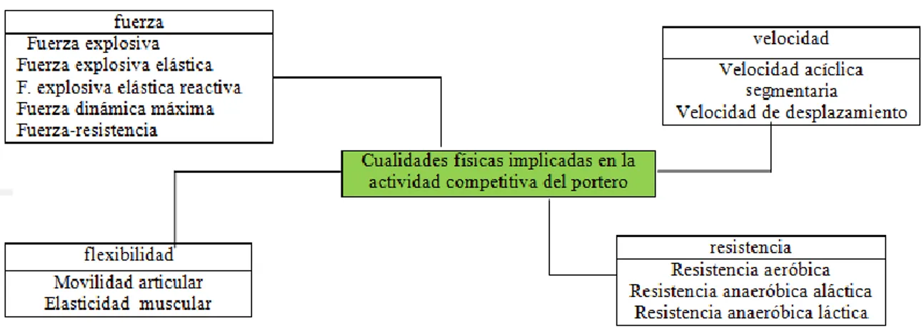 Gráfico Nº 4. Cualidades físicas implicadas en la actividad competitiva del portero  Fuente: (Sambade, 2006)