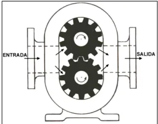 Figura 3 – Bomba Rotatoria de Engranes Externos 