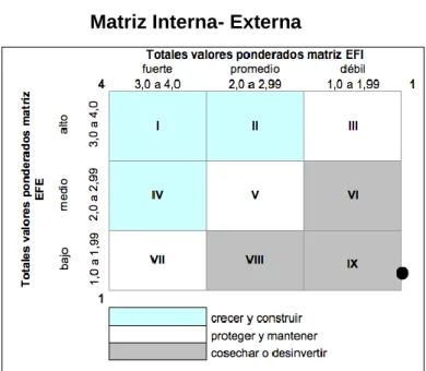 Figura N° 9   Matriz Interna- Externa 
