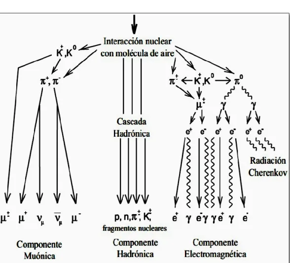 Figura 1-1: Cascada Electromagnética 
