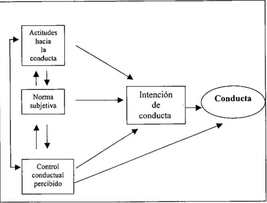 Figura  3.4.  Representación gráfica de la Teoría de la Conducta  Planificada (Ajzen, 1991)