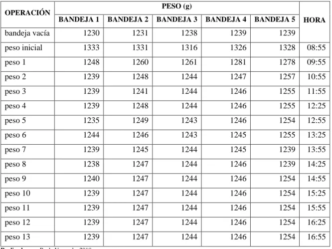 Tabla 17-3: Reporte de pesos para la muestra3. 