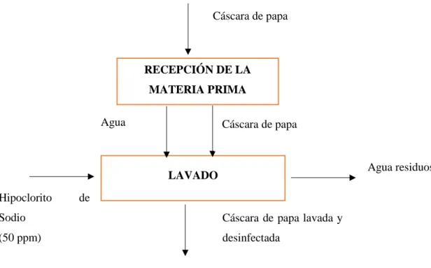 Tabla 7-3: Proceso de obtención de pectina a escala laboratorio 