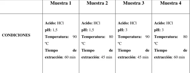 Tabla 9-3: Condiciones de operación de la hidrólisis ácida 