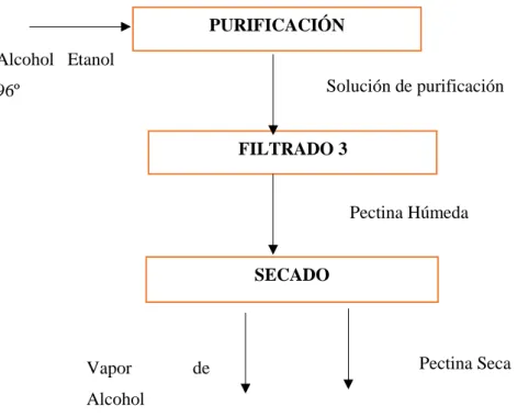 Tabla 10-3: Metodología de caracterización de la pectina 