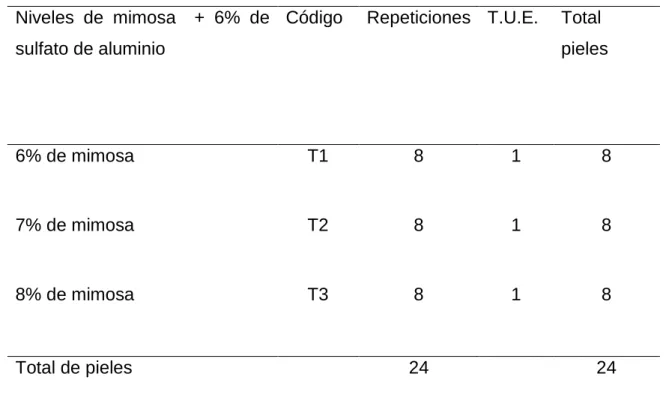Cuadro 4.   ESQUEMA DEL EXPERIMENTO. 