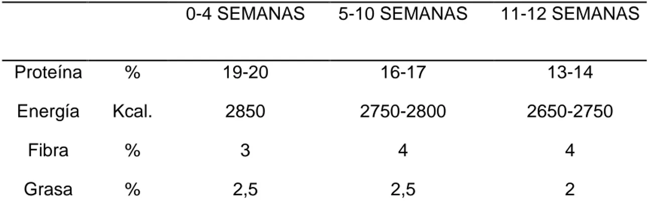 Cuadro  3.      REQUERIMIENTOS  NUTRICIONALES  PARA  POLLOS  FINQUEROS  PÍO PÍO. 