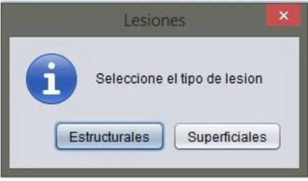 Figura 3.6: Seleccionar el tipo de lesión a evaluar. 
