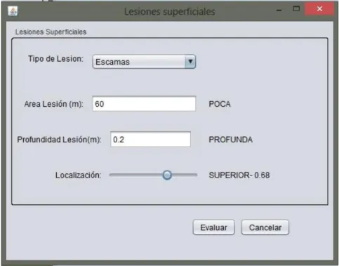 Figura 3.8: Evaluación de las lesiones superficiales. 