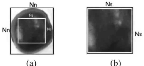 Figura 1: (a) Imagen Normalizada, (b) Ventana de Segmentación