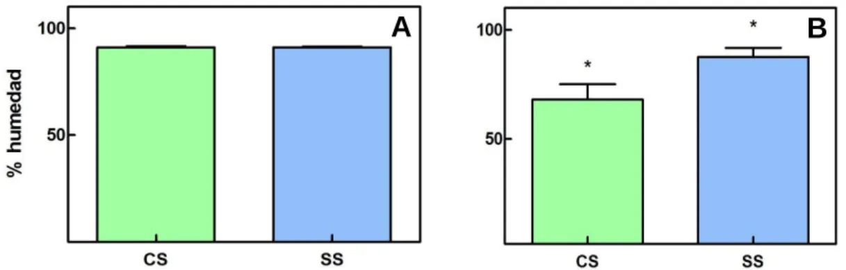 Figura 8. Representación de las medias obtenidas para los % de humedad  A) a los 7 días y  B)  a  los  15  días,  entre  las  plántulas  control  y  tratadas  en  condiciones  de  sequía  (CS  y  SR  respectivamente)