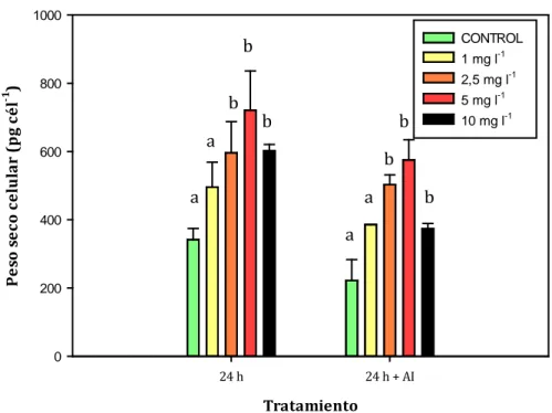 Figura 5. Peso seco celular, en cultivos de C. reinhardtii  tras 24 horas de exposición al  antibiótico oxitetraciclina a baja y a alta irradiancia