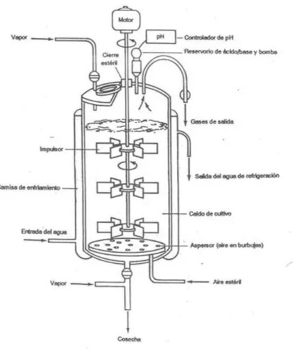 Figura 1.1 Biorreactor 