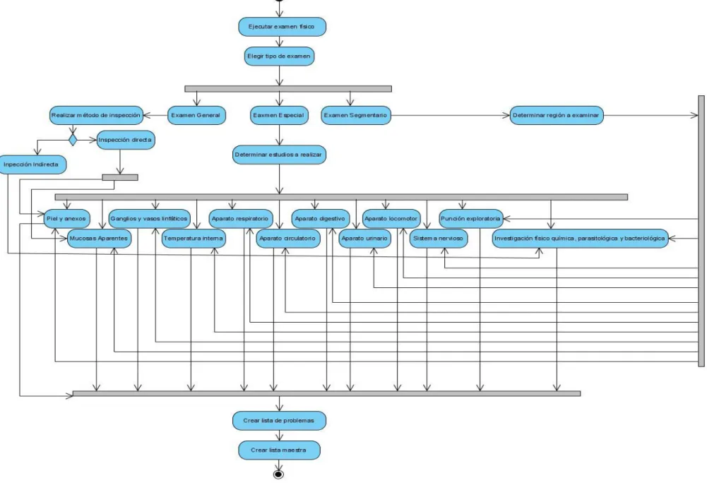 Figura 2. 2 Modelo para describir el subproceso realizar examen físico, utilizando un diagrama de actividades de UML